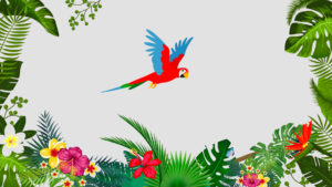 motion design prevoyance